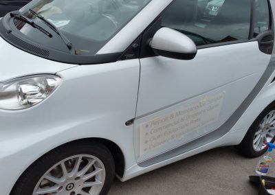 Stickers for Smart Car