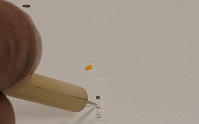 Super detailed vinyl weeding in progress. Please like and share. We are producing 30 double sided t-shirts. #bigprintbirmingham #printingbirmingham #signmaker #signs #printshop #t-shirt #garmentprinting #cuatomtshirts #wedding #weedinglogos