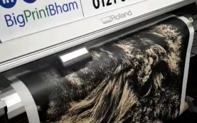 Printing a custom Wallpaper with lion print.#bigprintbirmingham #printingbirmingham #signmaker #signs #birmingham #printshop #wallpaper #officewallart