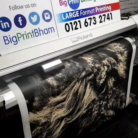 Printing a custom Wallpaper with lion print.#bigprintbirmingham #printingbirmingham #signmaker #signs #birmingham #printshop #wallpaper #officewallart