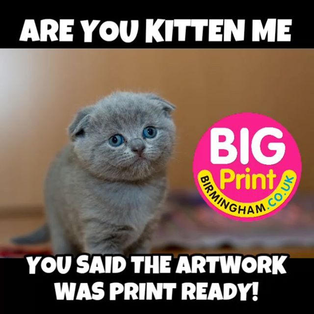 Are you kitten me?Big Print BirminghamUnit 3, 45-47 Formans Road Sparkhill B113ARWhatsapp or call your order through : 07702153393
