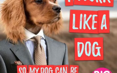 #WoofWednesdayWork like a dog.Call me if you need any printingMak of Big Print Birmingham 07702153393