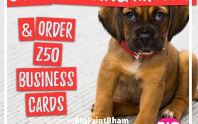 Order 250 cards before 11 and pick them up before 18:00Same day business card printing service now available.Whatsapp or call Mr Big Print on 07702153393