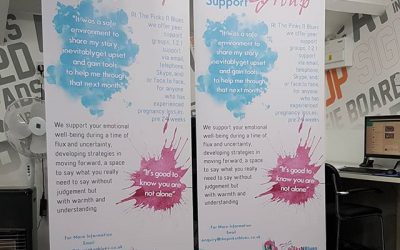 Need one or two roller banners, be sure to contact Mr Big Print on 07702153393. These were designed and printed for @thepinksnbluesTo place your order whatsapp me: Mak of Big Print Birmingham on 07702153393Or use this whatsapp link from your mobile: https://api.whatsapp.com/send?phone=+447702153393#bigprintbirmingham#printingbirmingham #printshop#shopsigns#largeformatprinting#posters#cards #rollerbanners #popupbanner #charity #pregnancy #loss
