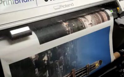 Printing another wallpaper!To place your order whatsapp me: Mak of Big Print Birmingham on 07702153393Or use this whatsapp link from your mobile: https://api.whatsapp.com/send?phone=+447702153393#bigprintbirmingham#printingbirmingham #printshop#shopsigns#largeformatprinting#posters#cards #wallart #wallpaper#officewallart