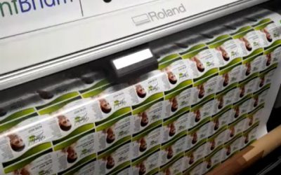 Bulk printing stickers.To place your order whatsapp me: Mak of Big Print Birmingham on 07702153393Or use this whatsapp link from your mobile: https://api.whatsapp.com/send?phone=+447702153393#bigprintbirmingham#printingbirmingham #printshop#shopsigns#largeformatprinting#posters#cards #Stickers